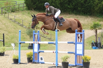 9 Horses Gain Qualification to Contend for the Prestige Italia Big Star Bonus 9 Horses Gain Qualification to Contend for the Prestige Italia Big Star Bonus